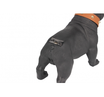 CH-M209 dog bluetooth speaker