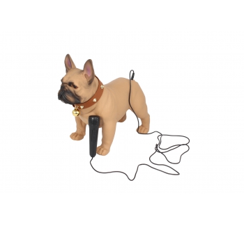 CH-M209 dog bluetooth speaker