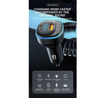 C31 car MP3 player car charger