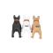 CH-M209 dog bluetooth speaker