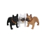 CH-M209 dog bluetooth speaker