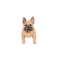 CH-M209 dog bluetooth speaker