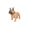 CH-M209 dog bluetooth speaker