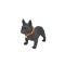 CH-M209 dog bluetooth speaker