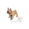 CH-M209 dog bluetooth speaker