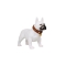 CH-M209 dog bluetooth speaker
