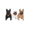CH-M209 dog bluetooth speaker