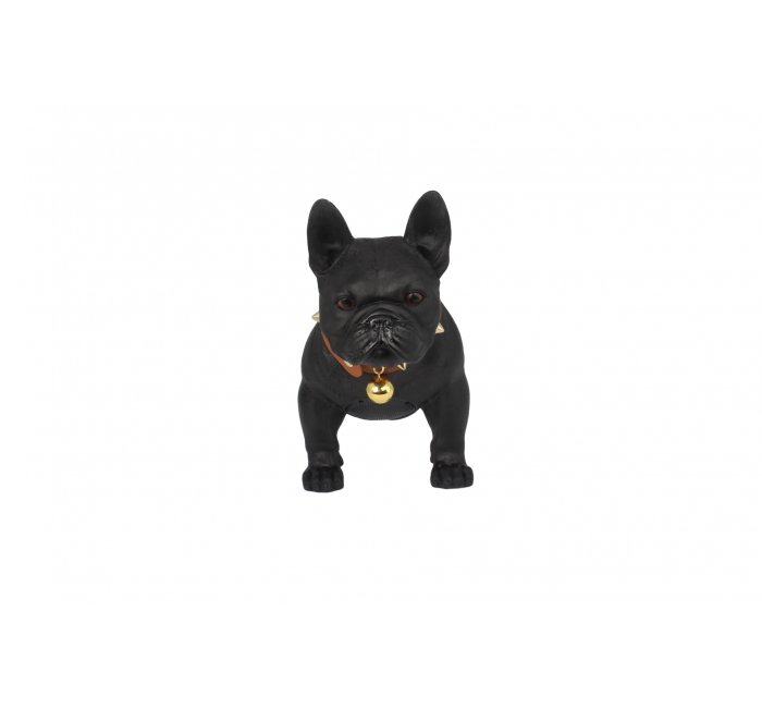 CH-M209 dog bluetooth speaker
